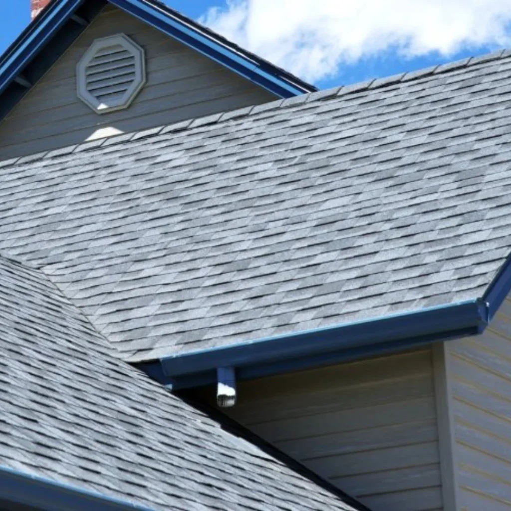 Professional Roofing